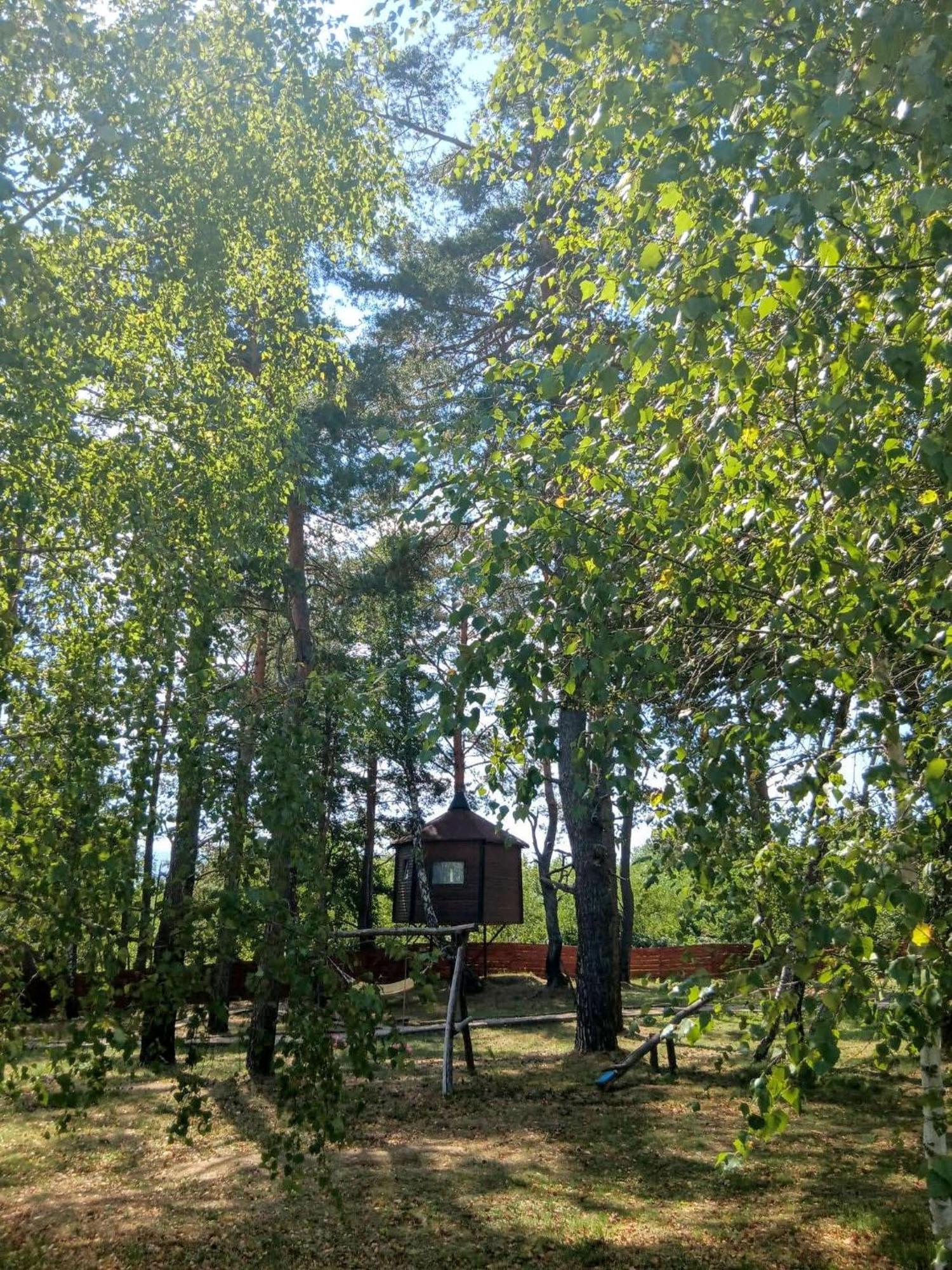 Tesla'S Valley Campsite *