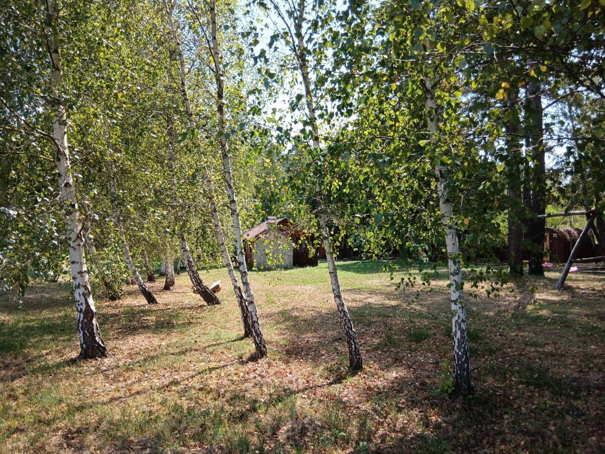 Tesla'S Valley * Smiljan