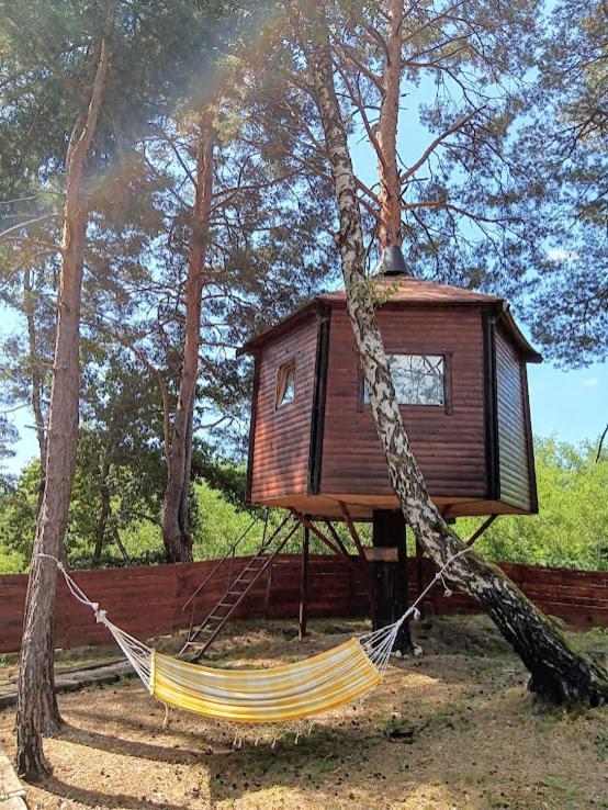 Tesla'S Valley Kamp Smiljan