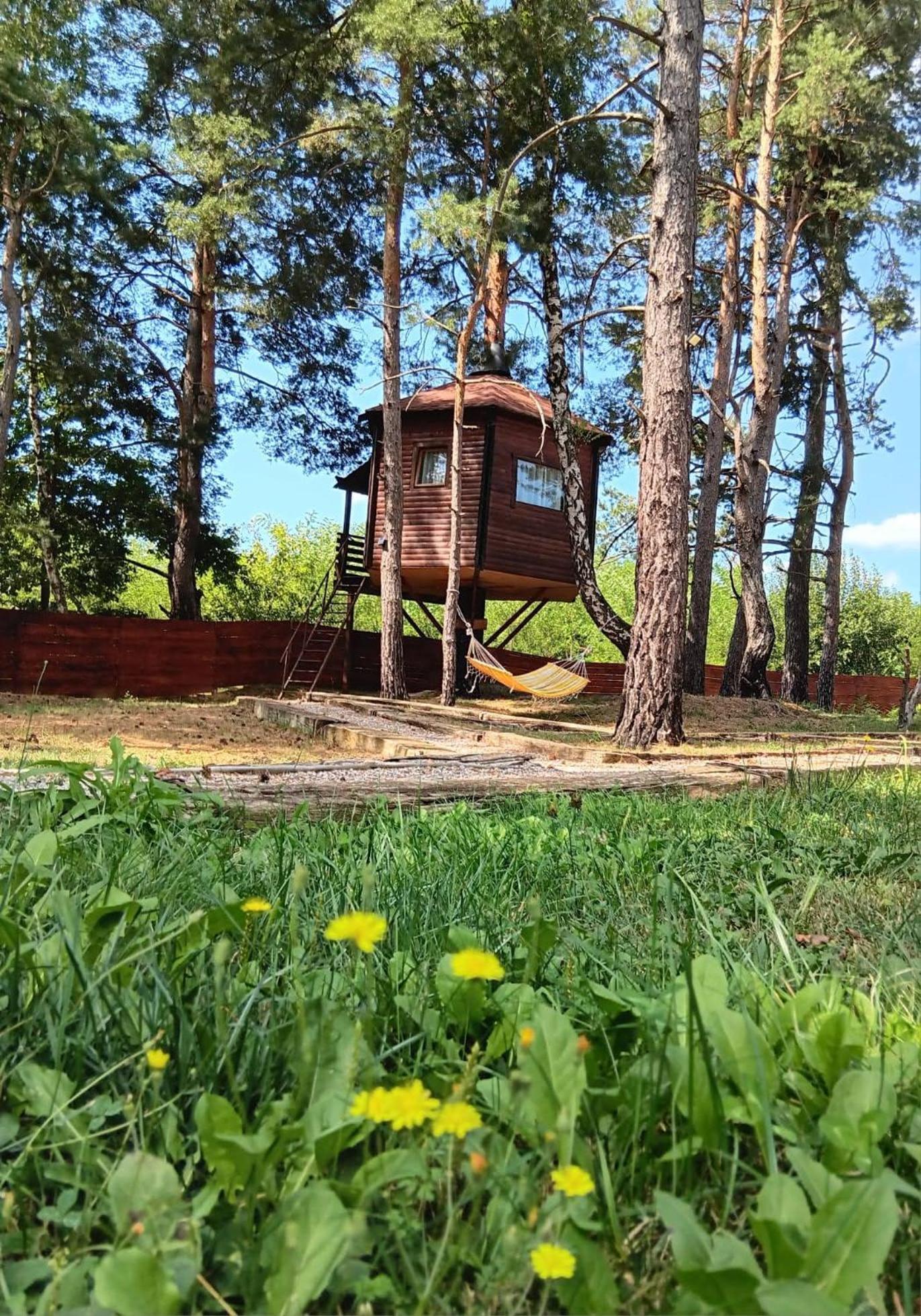 Campsite Tesla'S Valley *