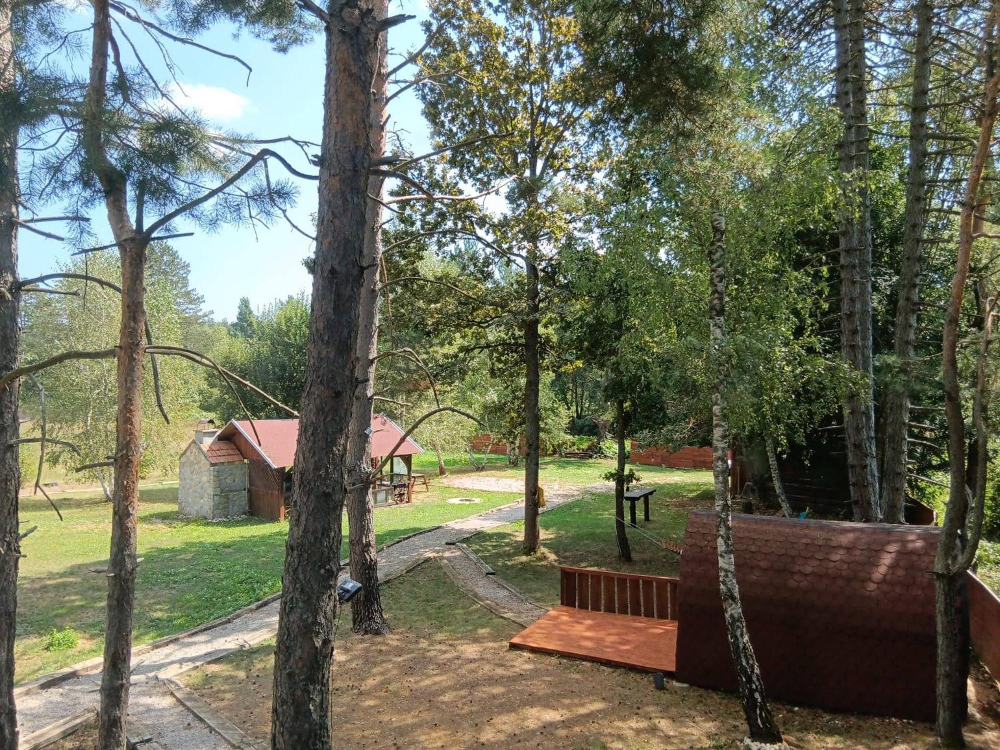 Tesla'S Valley Campsite